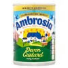 Ambrosia DEVON CUSTARD 400g - Best Before: 02/2027
